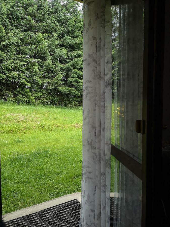 Gasthaus Zacisze Drwala Lutowiska Exterior foto
